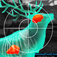 Tải xuống Trò chơi săn bắn thể thao Wild Hunt Hunter & Shooter 3D + (Mod Ammo) cho Android