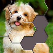 Hexa Jigsaw Puzzle [v18.02.2] (Unlimited Coin / All Paid Level Unlock) Apk for Android