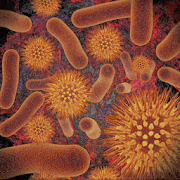 Infectious Disease Compendium [v39.01.01]