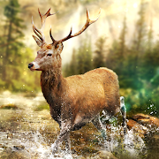 Hunting Clash: Hunter Games - Shooting Simulator [v2.14] APK Mod pour Android