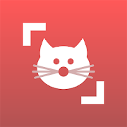 Cat Scanner –猫の品種の識別[v11.1.1-G]