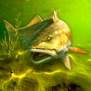 My Fishing World – Realistic fishing [v1.14.97] APK Mod for Android