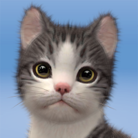 My Cat:Dream Kitty Game [v2.0.2] APK Mod for Android